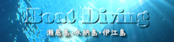 沖縄ボートダイビング