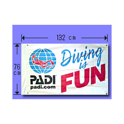 PADI DIVING IS FUN FLAG