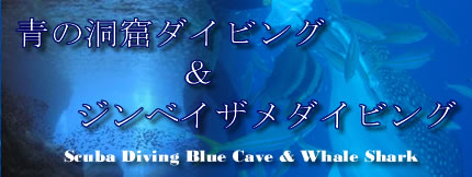 Blue Cave Diving & Whale Shark Diving in OKINAWA