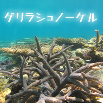 snorkel in okinawa