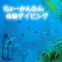 trial scuba diving in okinawa