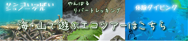 海、山で遊ぶエコツアーはこちら